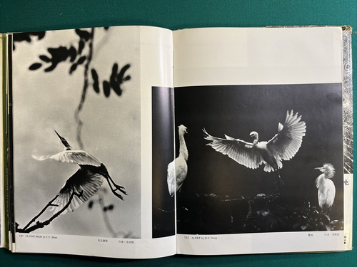 SUPER SELTENES Vintage Hardcover Buch über "PHOTOGRAFIE IN HONG KONG 香港攝影 1954-1969" - Bild 12 von 13