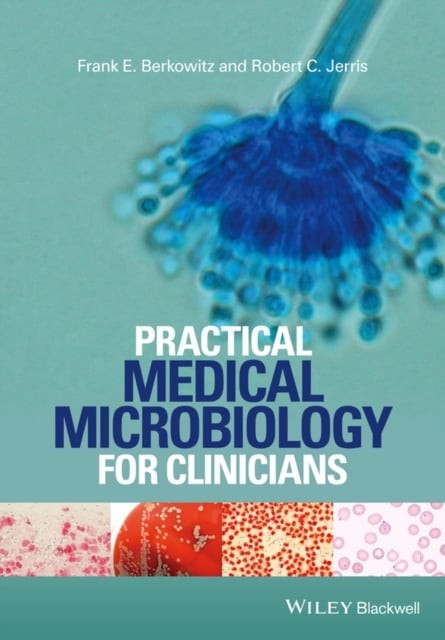 Practical Medical Microbiology for Clinicians Berkowitz Paperback 9781119066743
