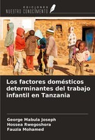 Los Factores DoméSticos Determinantes Del Trabajo Infantil En Tanzania George Ma