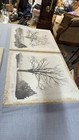 Picture 17 of 20
