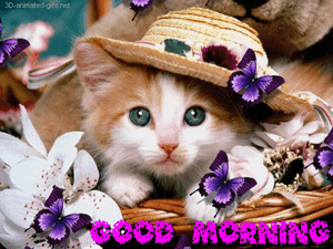 BEAUTIFUL-COLORphoto-reproduction-of-a-KITTY-w-a-hat-amp-Butterflys-photo-paper