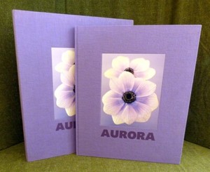 Ron Van Dongen | eBay