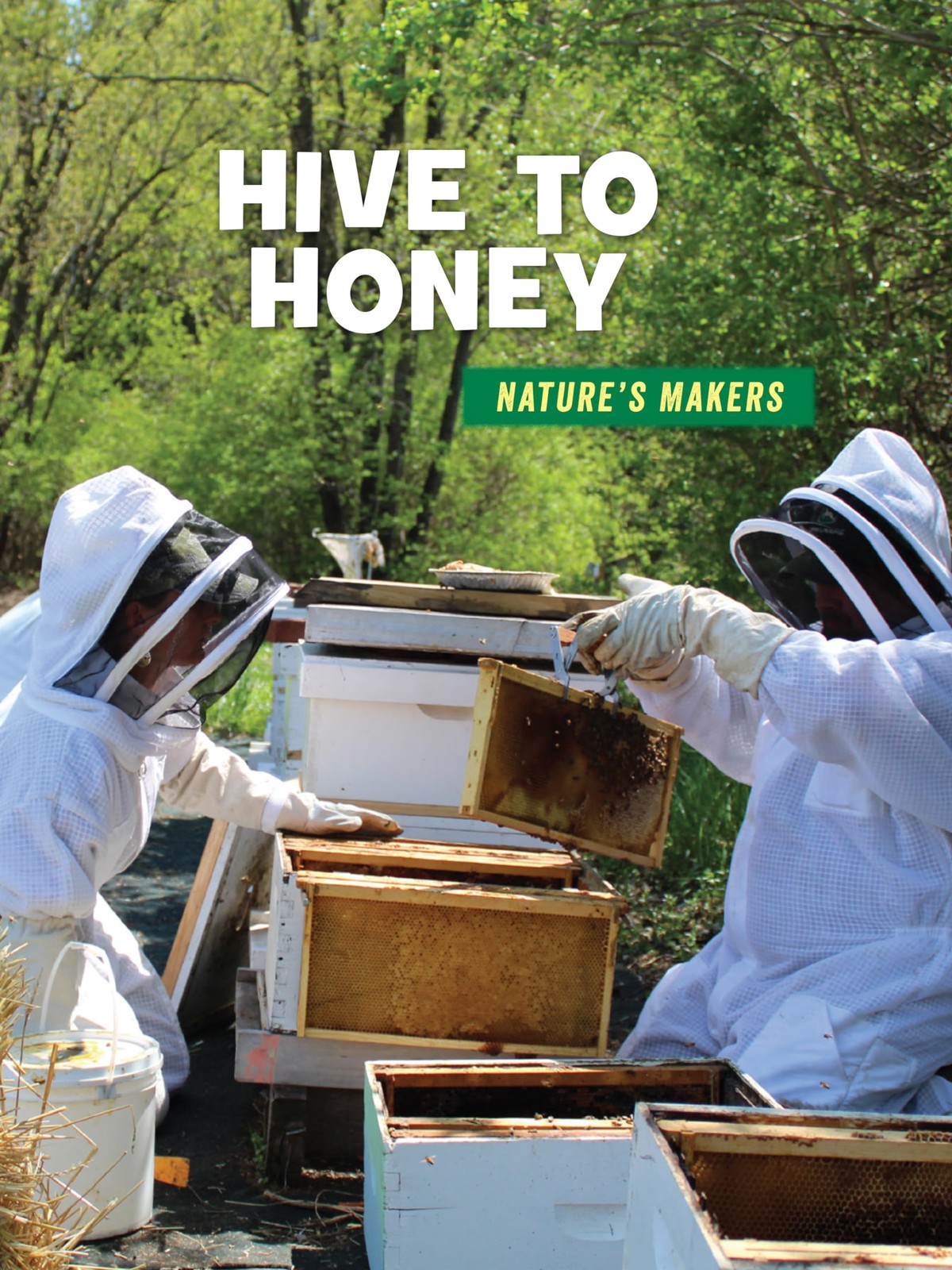 Hive To Honey Julie Knutson - Image 3