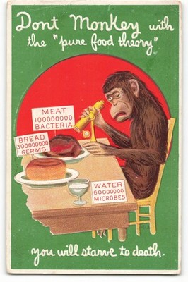 Don't Monkey with the ''pure food theory'' embossed VTG Postcard CG4.