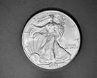 2002 SILVER EAGLE, BU