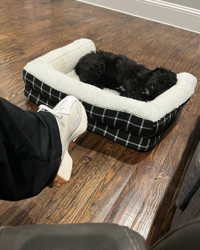 Kariertes Kissen Couch Hundebett mit Fensterscheibe Design - Stiefel & Rinde - Bild 15 von 27