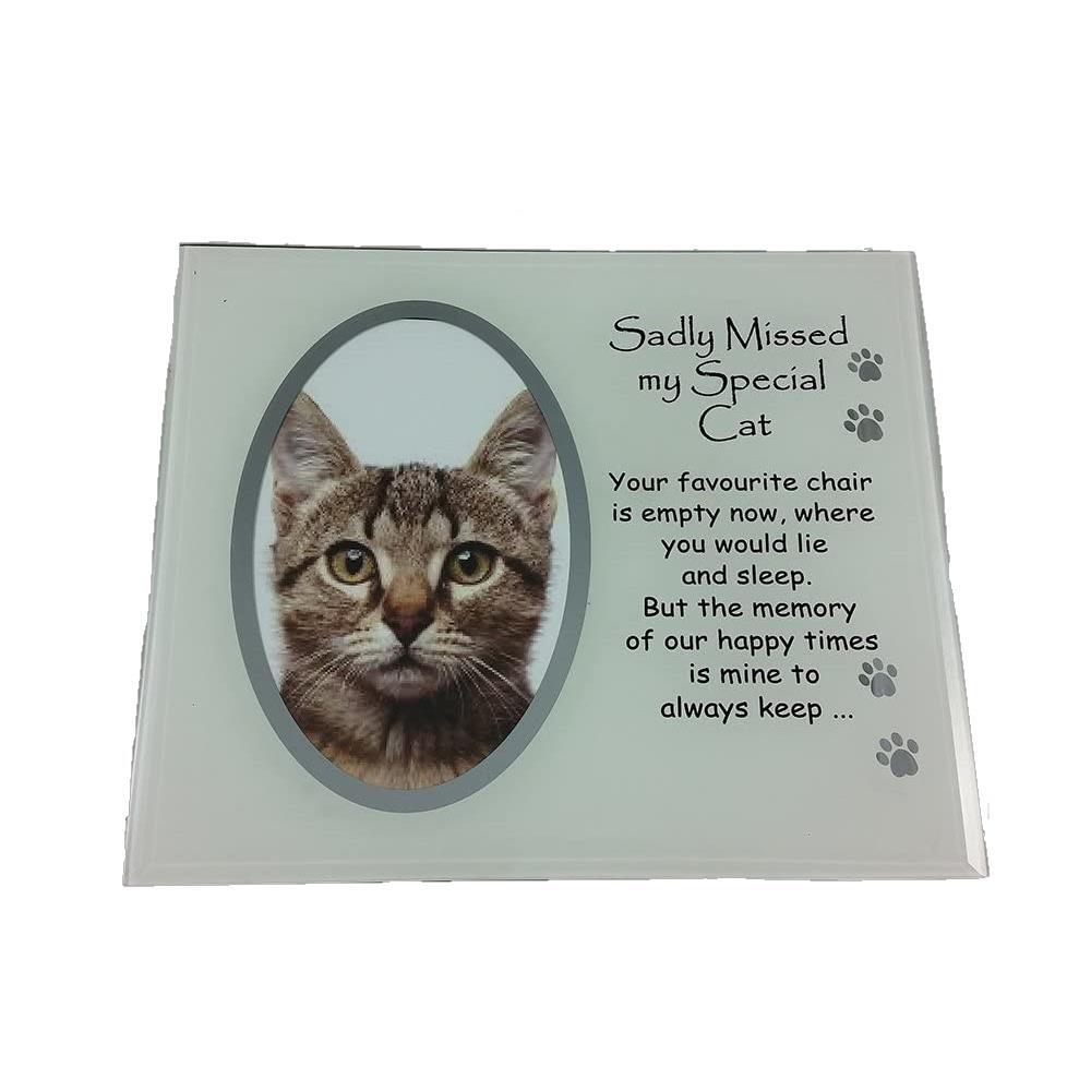 Cat Memorial Photo Frame Sadly Missed Glass Pet Memory Keepsake David Fischhoff