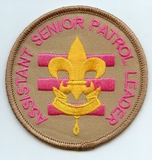 "Assistant Senior Patrol Leader" PINK. Honoring girls in Scouting America