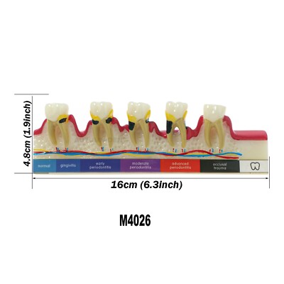 147224_5 147224_5