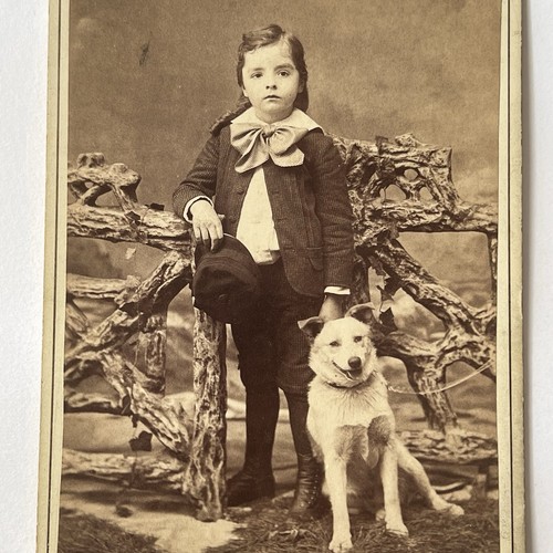Antique Cabinet Card Photograph Adorable Little Boy & Dog Fritz Buffalo NY - Picture 2 of 11