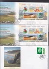 GB 2009 Celebrating Wales St David FDC First Day Cover choice special pmks 2024