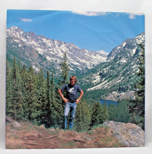 John Denver, Some Days Are Diamonds, 1981 RCA Records Vinyl LP, AFL1 4055 - Bild 4 von 7