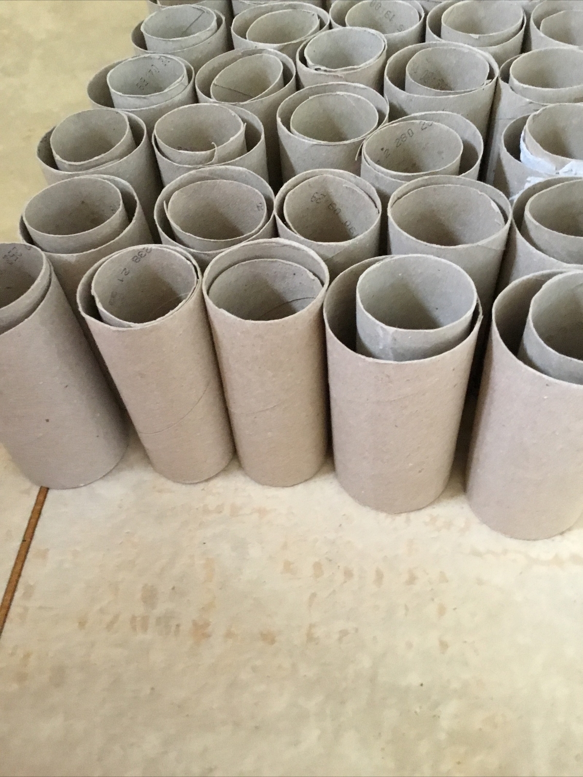 50 Telescopic Toilet/Loo Paper Cardboard TubesCrafts/Seedlings
