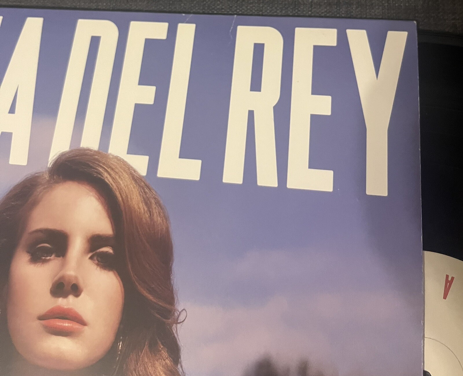 LANA DEL REY SIGNED AUTOGRAPHED BORN TO DIE VINYL RECORD