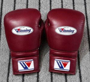Winning Gloves 16 Oz | eBay