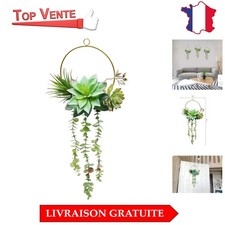 Wooloow Couronne Écologique de Succulentes, Idéale pour Décorations Domestiques