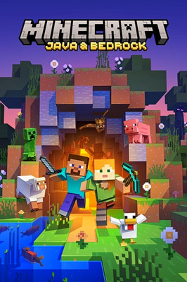 Minecraft Server Java Und Bedrock
