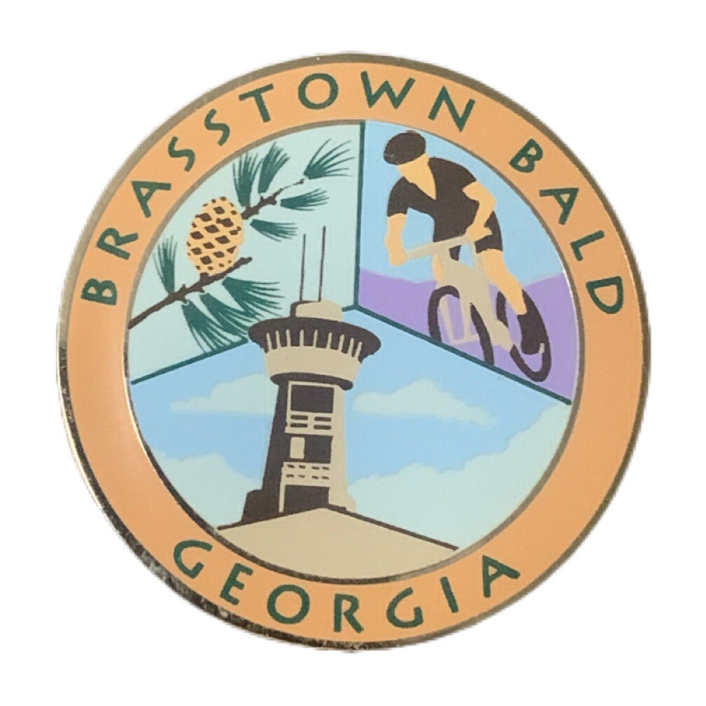Vintage Brasstown Bald Travel Souvenir Pin eBay