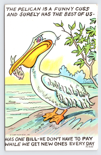 Abbiamo troppe bollette da pagare! Pellicano con pesce umorismo arte c1979 cartolina oceano - Foto 2 di 4