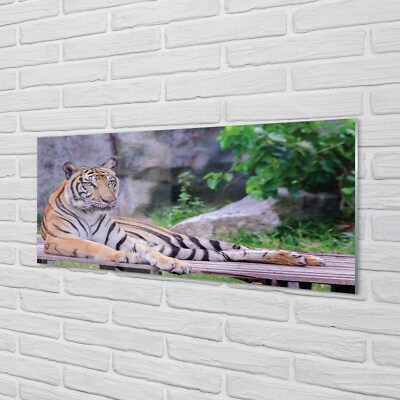 Tulup Acrylglas 125x50 Wandkunst Tiger in einem Zoo