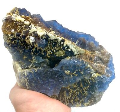 2450:Gram Extremely Rarest Unique Top Phantom Cubic Blue Fluorite With Calcite@