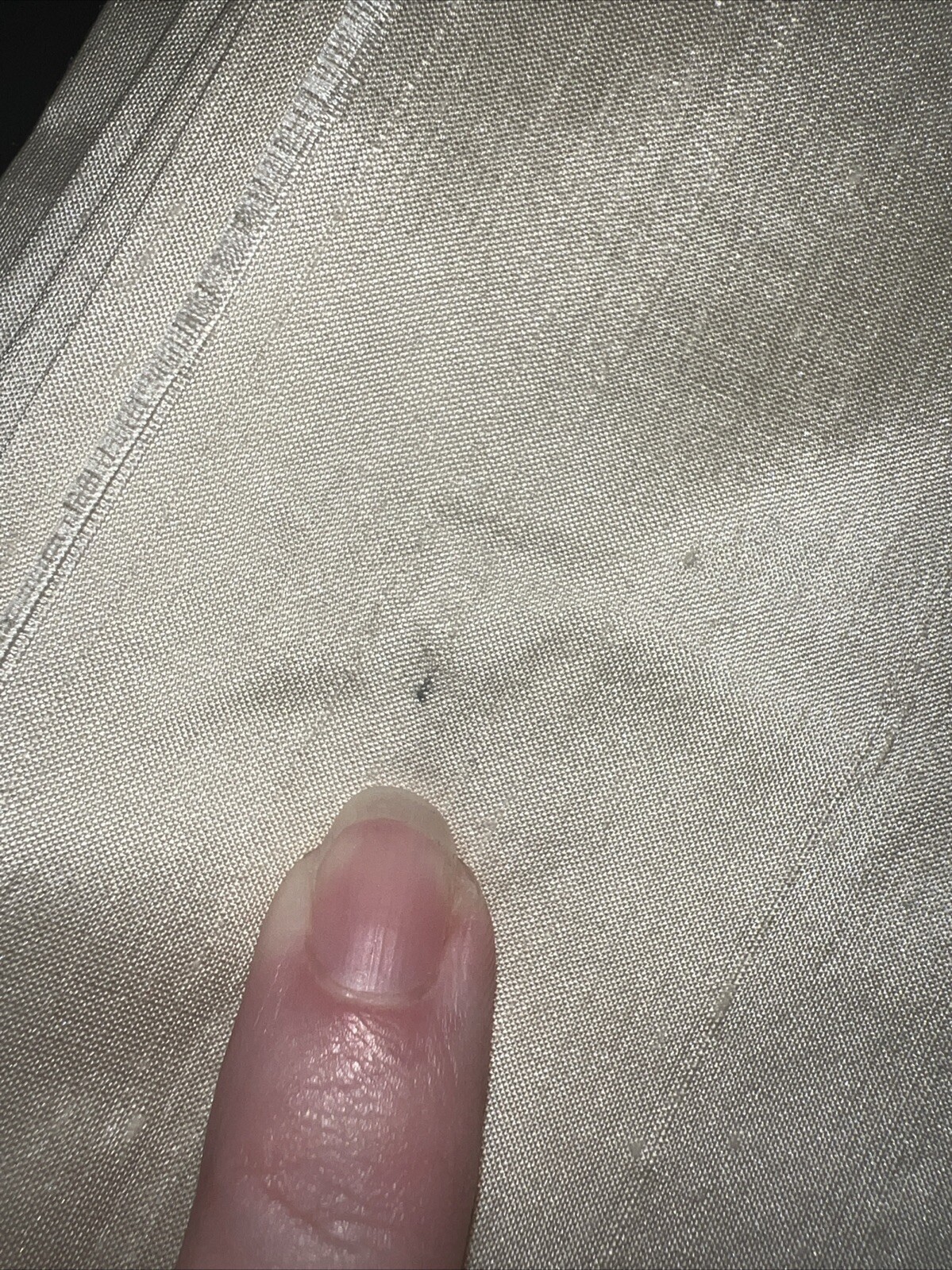 Picture 5 of 6