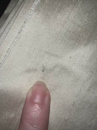 1 Yard Of Cream Color Fabric Could Be Silk But Not Positive Crafts Home Interior - Picture 5 of 6