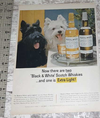 1964 Black & White Scotch Vintage Print Ad Whiskey Scottie Dogs West Highland