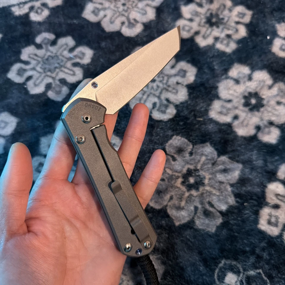 Cuchillos Chris Reeves pequeños Sebenza 31 lisos tanto - vidrio de funcionamiento limitado granallado Foto 3 de 3