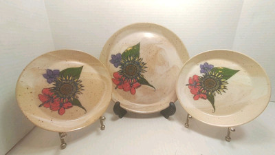 Hand Thrown & Painted Stoneware Plates Garden Flowers Whip City Ceramic 