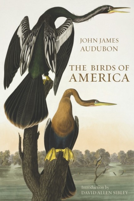 The Birds of America by John James Audubon (Hardback Book) - Image 3