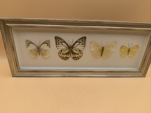 USA 60’s 70's ヴィンテージ 壁掛け マッシュルーム かえる 蝶 Butterflies Vintage | eBay