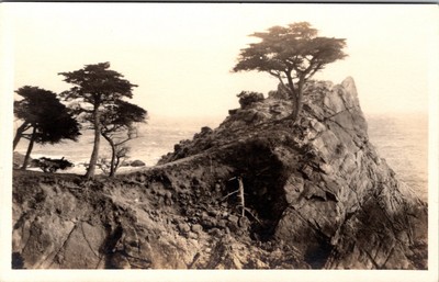 Monterey Peninsula, CA Midway Point 17 Mile Drive RPPC Photo Postcard O572