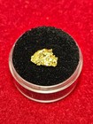 California Natural Gold Nugget  1.1 Grams in a Gem jar w/lid — photo 2