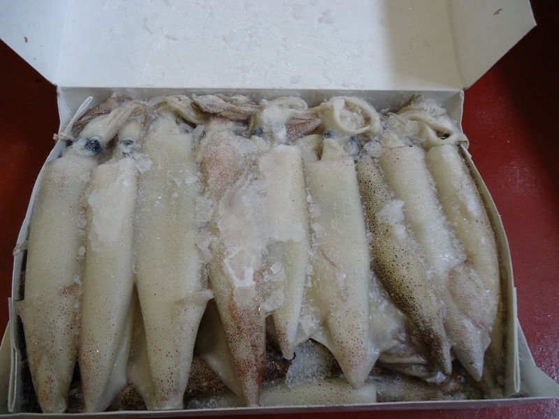 Frozen Sea Fishing Bait Mackerel, Blueys, Sandeel, Black Lug, Cuttlefish eBay