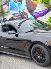 Ford Coyote Badges (2) badges 1/8" x 2" tall x 2.5" wide 5.0 Mustangs