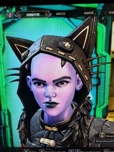 PS/XBOX/PC Tiny Tina's Wonderlands TODOS LOS ACCESORIOS DE CABEZA COSMÉTICOS ENGRANAJES SKINS DLC - Imagen 25 de 55