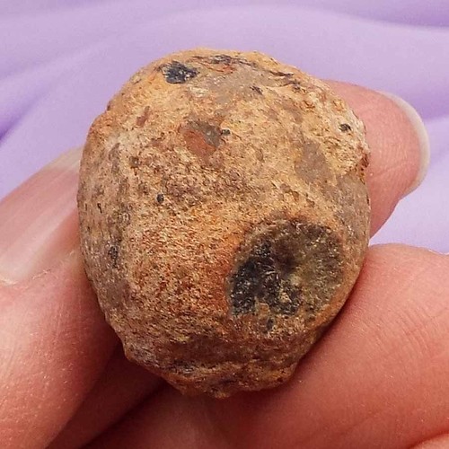 Natural Chocolate Opal, Flashes 'Express Your True Self' 8.5g SN37474 - Picture 4 of 4