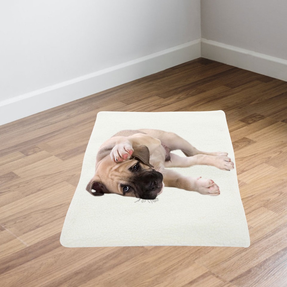Self Heating Dog Mat Heated Pads for Pets Warming Blanket Outdoor Cat