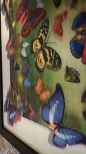 Stampa artistica farfalla 3D - Illusione ottica decorazione parete moderna, incorniciata 20x20"