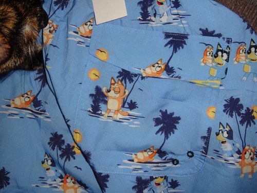 Disney Bluey Bingo Chilli bandit Men's Swim Trunks Surf Board Shorts 2XL XXL - Picture 7 of 9