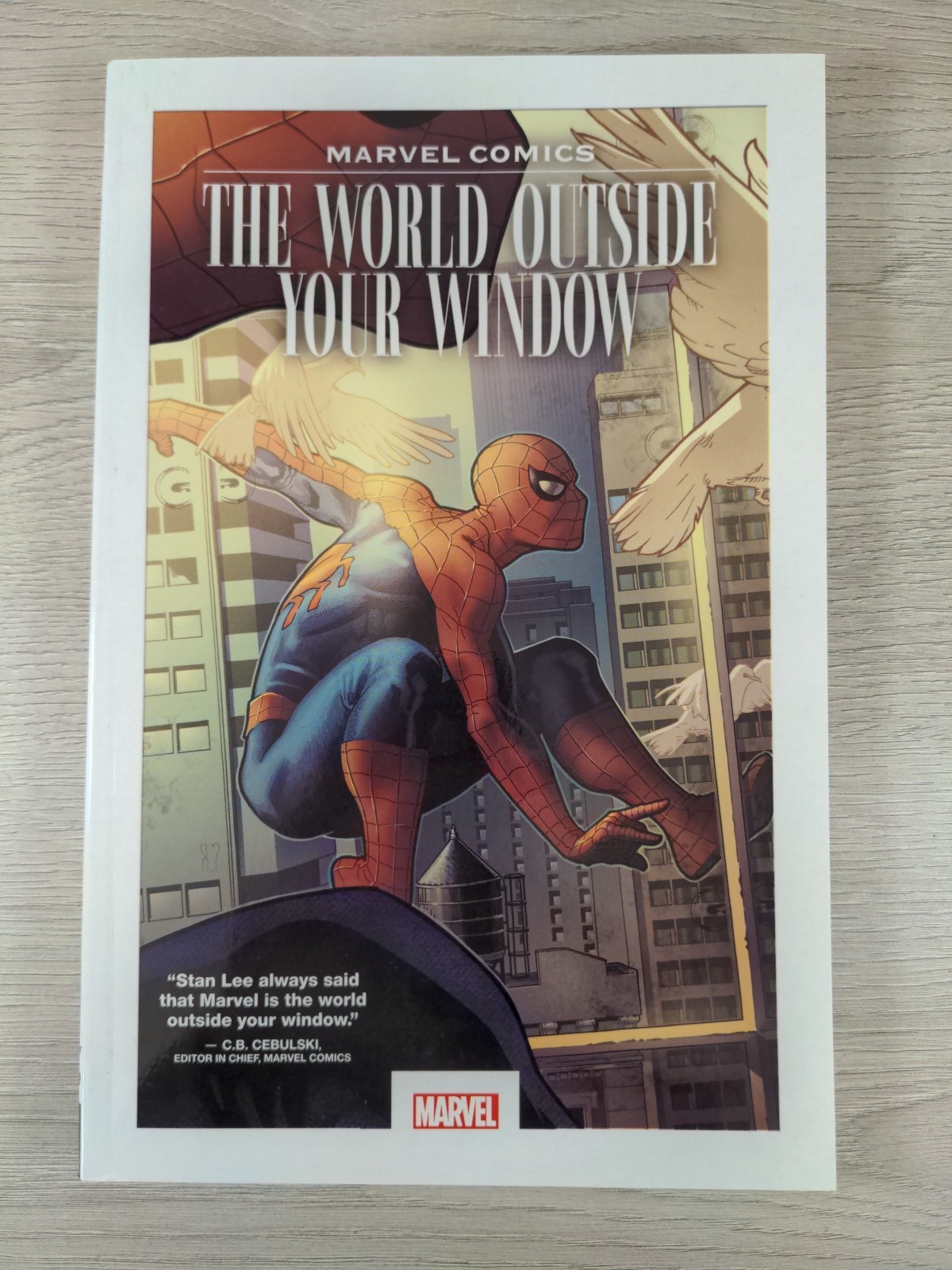 Marvel Comics: The World Outside Your Window by Joe Simon, Graphic Novel