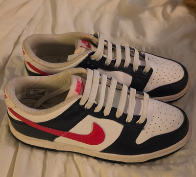 Nike Dunk Low Top Lace-Up Sneaker White Colorblock Leather Upper Rubber