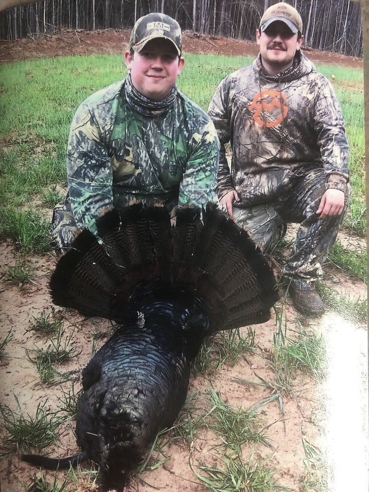Big Tom’s Custom Calls Half Moon Sycamore Box Turkey Call Sweet And Raspy.