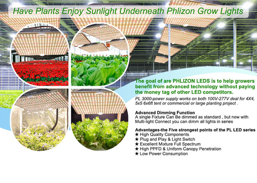 Phlizon 2000W Samsung LED Grow Light Full Spectrum for Indoor plant All Stage IR - Bild 12 von 12
