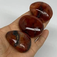 191.3g, 2"-2.1", 3pcs, Red Carnelian Palm-Stone Gem Crystal Polished, B37631