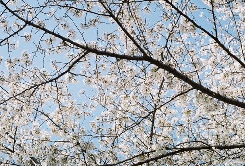 Rare [ Exc+5 ] Minolta MC Rokkor 58mm f/ 1.2 "Hawk Eye" Prime MF Lens From JAPAN - Picture 11 of 11