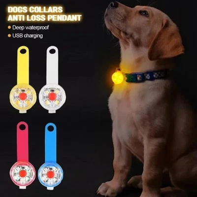 Rechargeable Dog Collar Light Cat Led Outdoor - Safe Night Walk USB Cable - Image 1 of 4