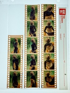 13 Original Color Negatives Amateur Nude Model 1970S