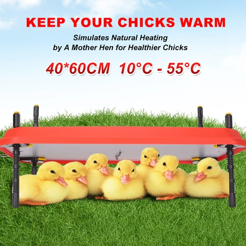 Chick Brooder Heating Plate 40*60CM Adjustable Chicken Coop Brooding Heater AU - Picture 9 of 12